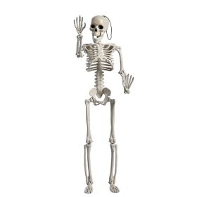 Halloween Skull Fish-skeleton Hanger 80cm Simulation (Option: 40cm Standing Skeleton)